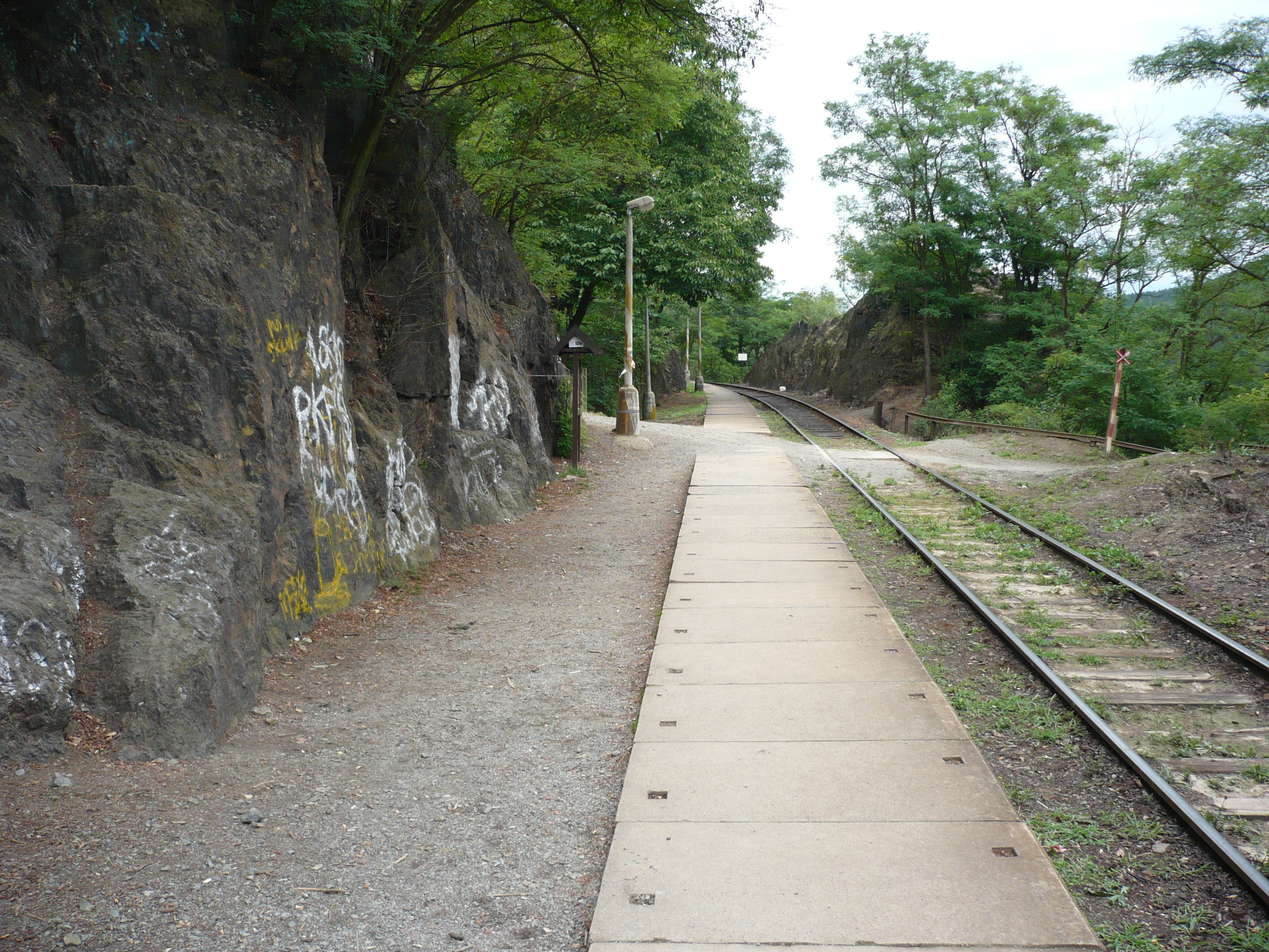 P1050388
